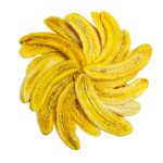 موز خشک
